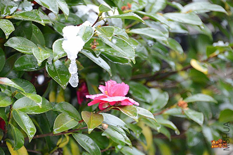 ��Ƭ 043_����.jpg