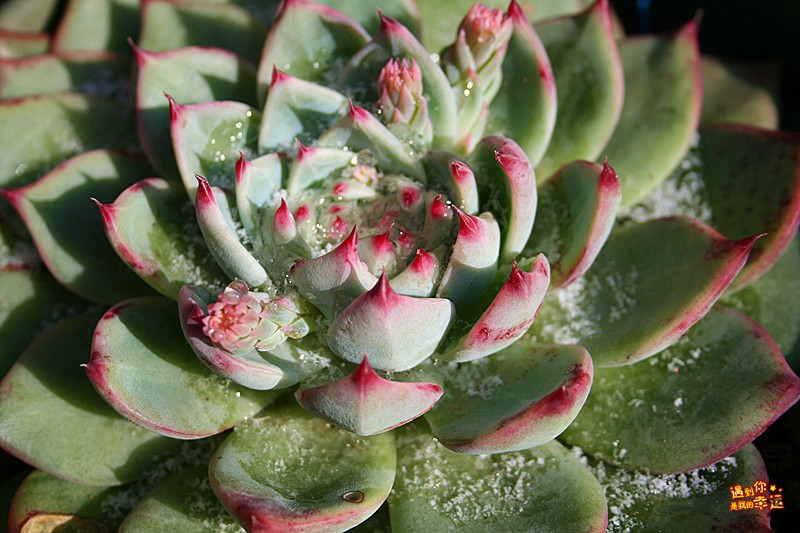 ��Ƭ 074_����.jpg