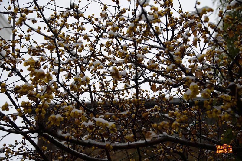 ��Ƭ 021_����.jpg