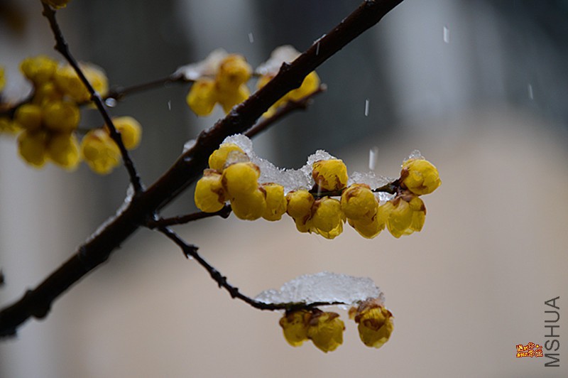 ��Ƭ 023_����.jpg