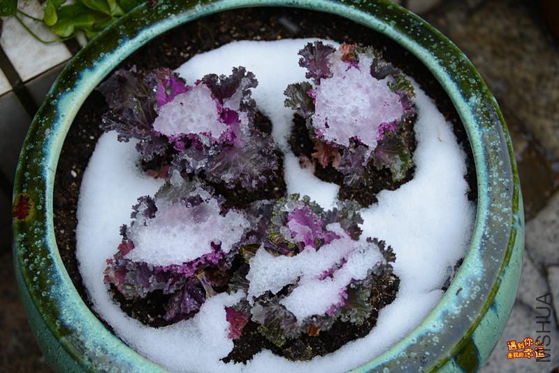 ��Ƭ 069_����.jpg