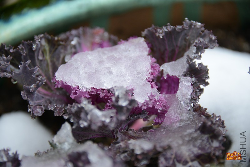 ��Ƭ 072_����.jpg