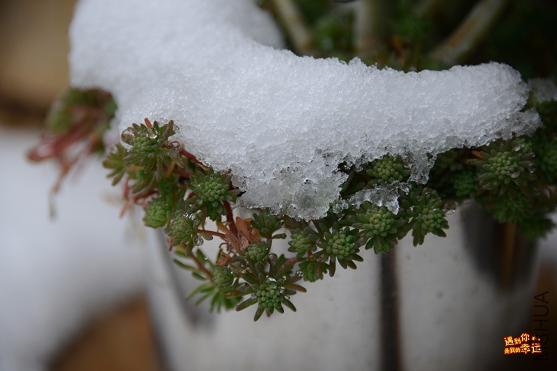 ��Ƭ 100_����.jpg