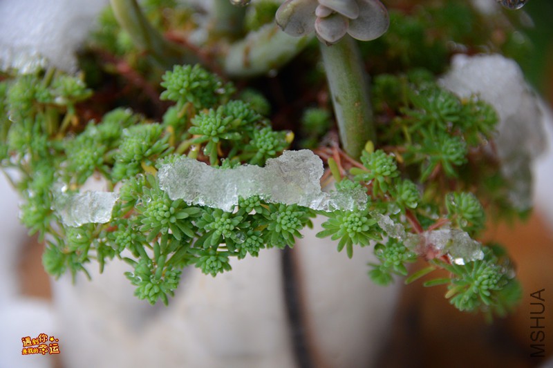 ��Ƭ 103_����.jpg