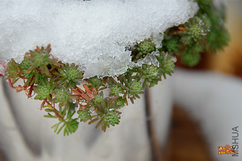 ��Ƭ 105_����.jpg