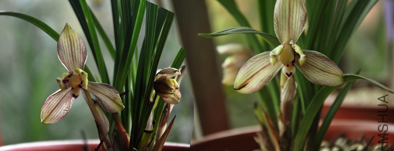 Panorama 1_����.jpg