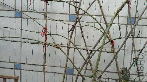 20160128_103151.jpg