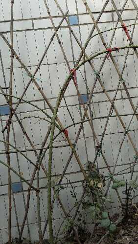 20160128_103159.jpg