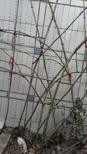20160128_103206.jpg