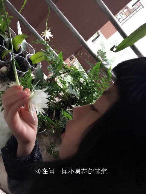 IMG_1599_������С.JPG