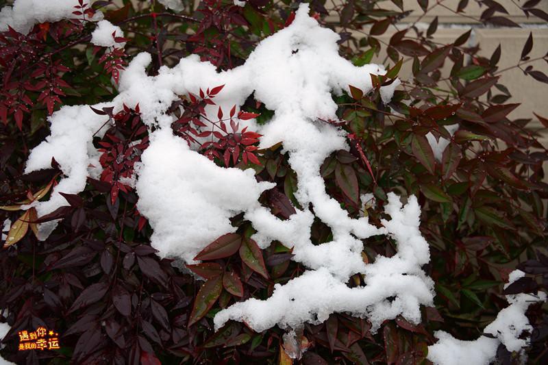 ��Ƭ 065_����.jpg