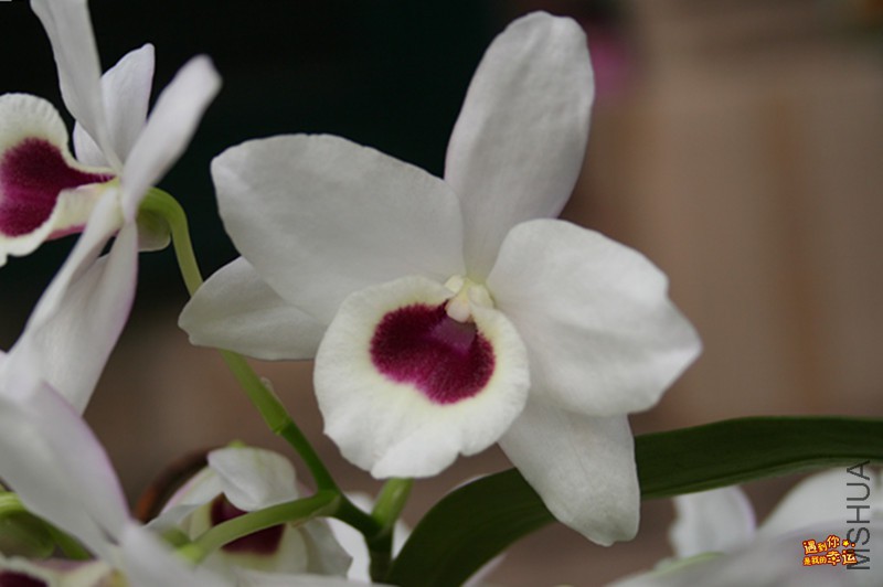 ��Ƭ 014_����.jpg