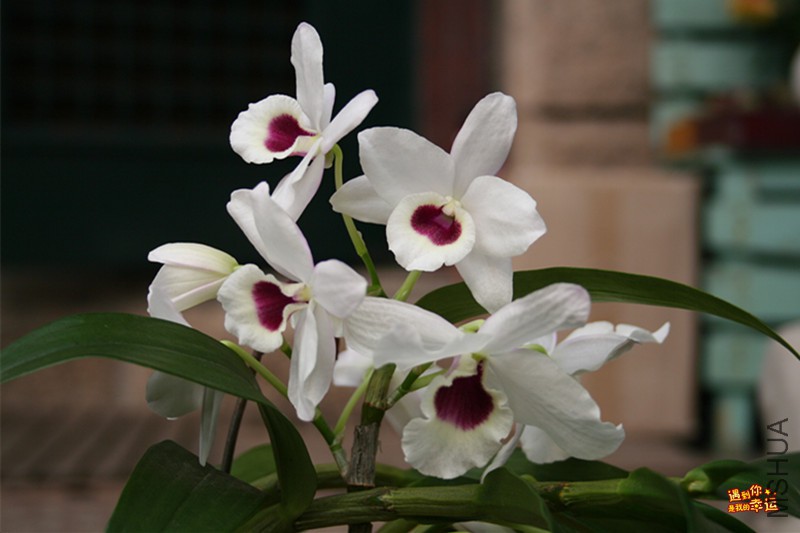 ��Ƭ 012_����.jpg