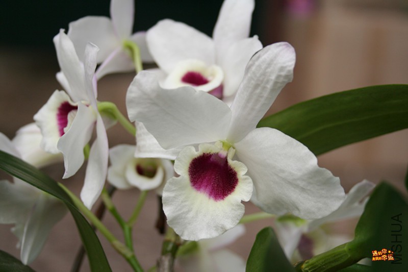 ��Ƭ 017_����.jpg