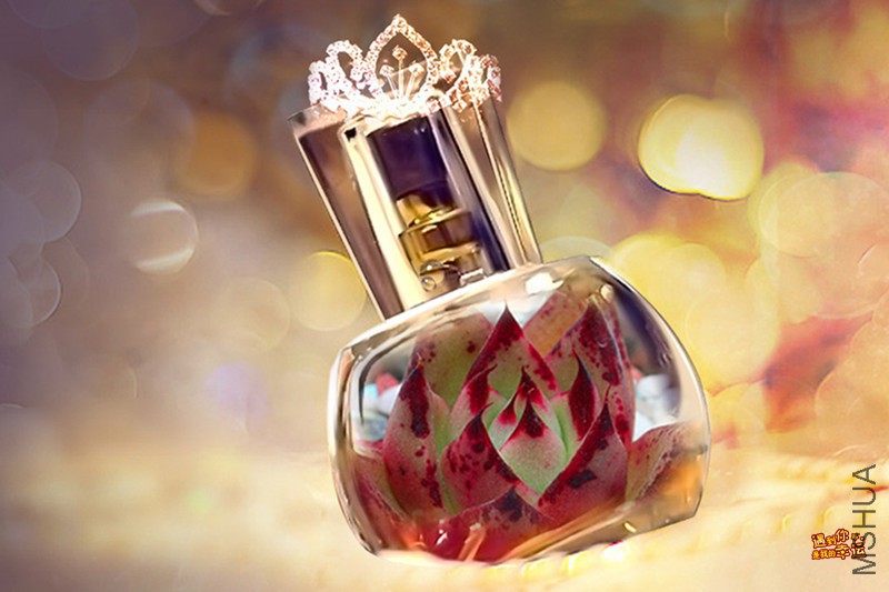 ��Ƭ 015_����.jpg