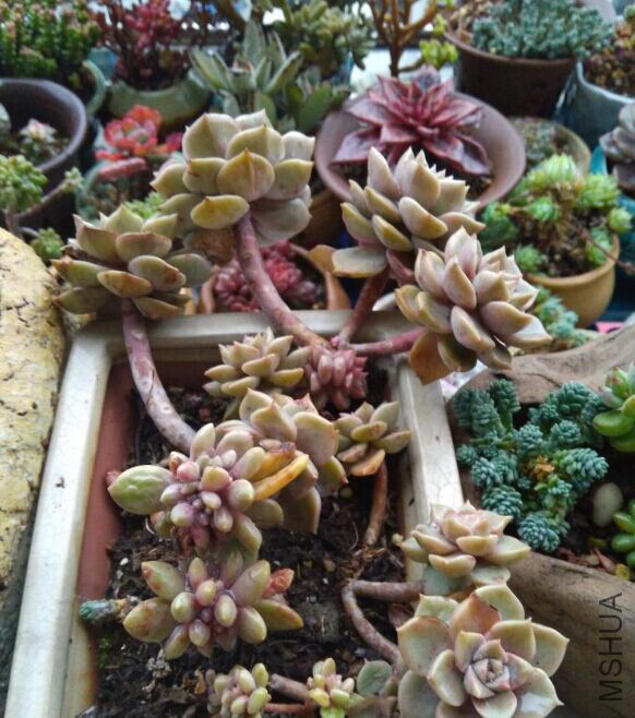 QQͼƬ20160129094328.jpg