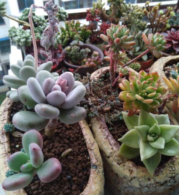 QQͼƬ20160129094347.jpg