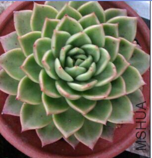 QQͼƬ20160129103233_����.jpg