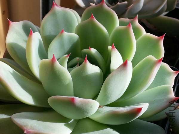 20150328_155140.jpg