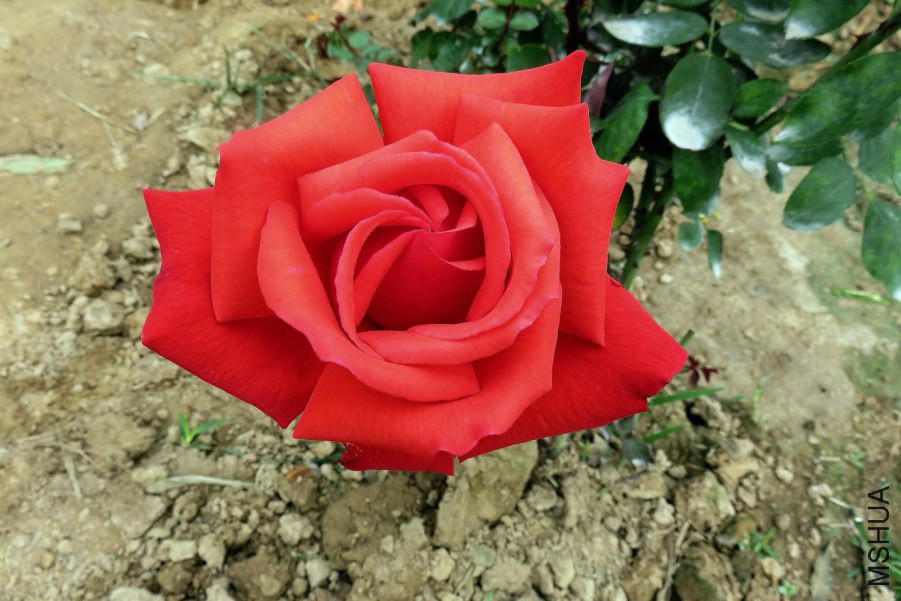 060949kolo56a2hsn8nazo.jpg