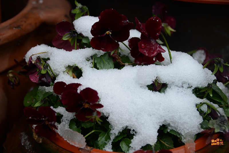 ��Ƭ 074_����.jpg