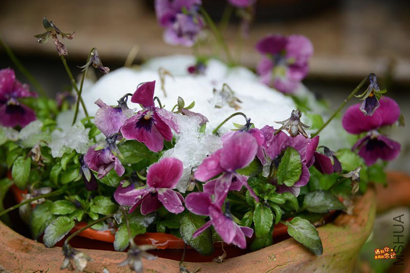 ��Ƭ 076_����.jpg