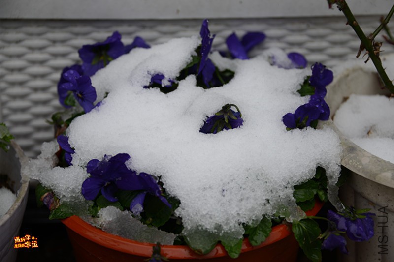 ��Ƭ 078_����.jpg