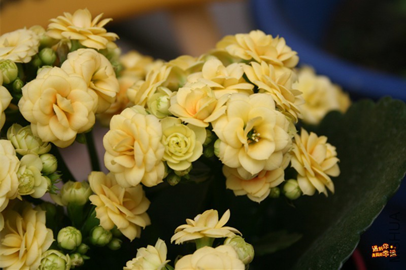 ��Ƭ 042_����.jpg