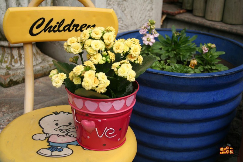 ��Ƭ 038_����.jpg