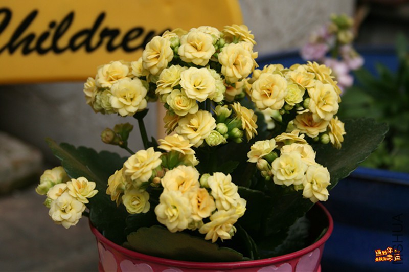 ��Ƭ 040_����.jpg