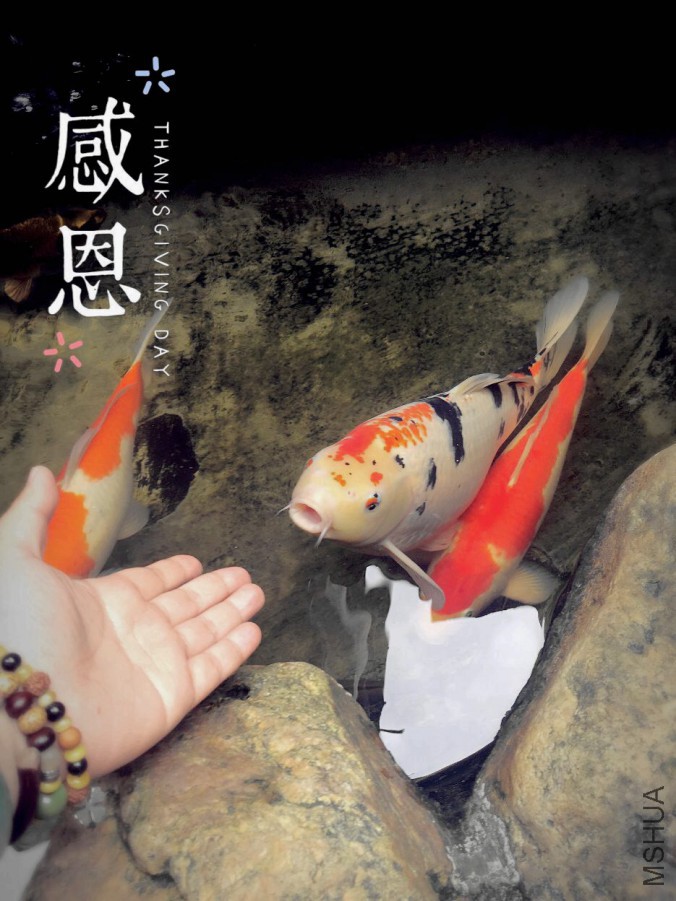 QQͼƬ20160130130658.jpg