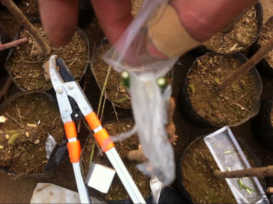 ��Ƥ��20.jpg
