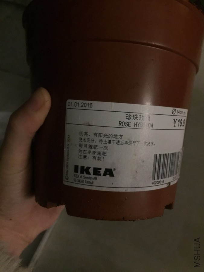 ֲ��Ʒ��