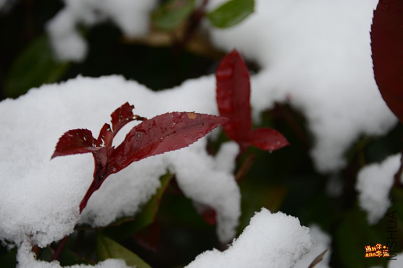 ��Ƭ 045_����.jpg