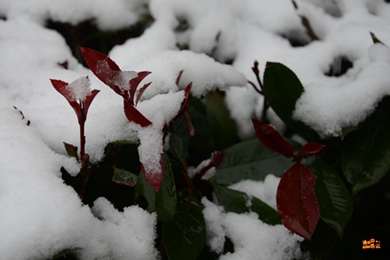 ��Ƭ 044_����.jpg