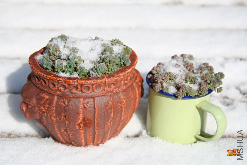 ��Ƭ 066_����.jpg