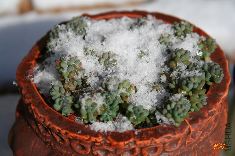 ��Ƭ 068_����.jpg