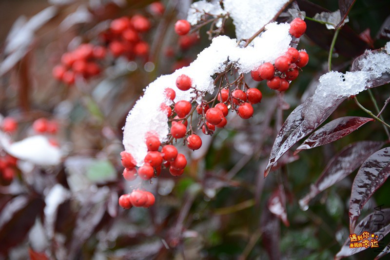 ��Ƭ 037_����.jpg