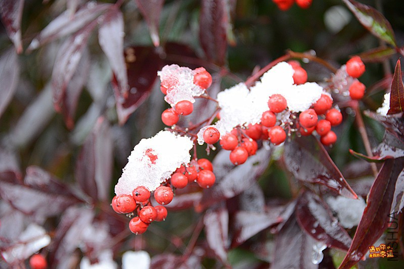 ��Ƭ 041_����.jpg