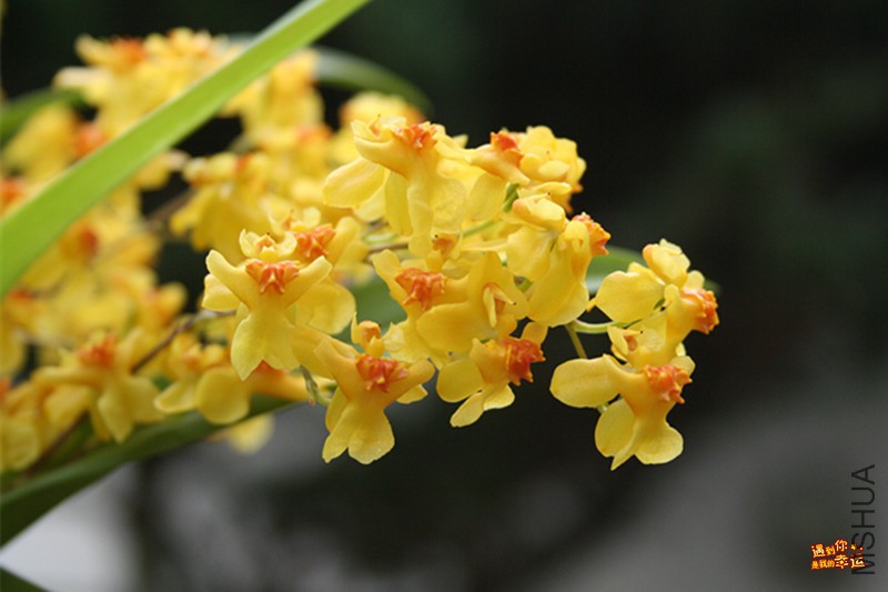 ��Ƭ 052_����.jpg