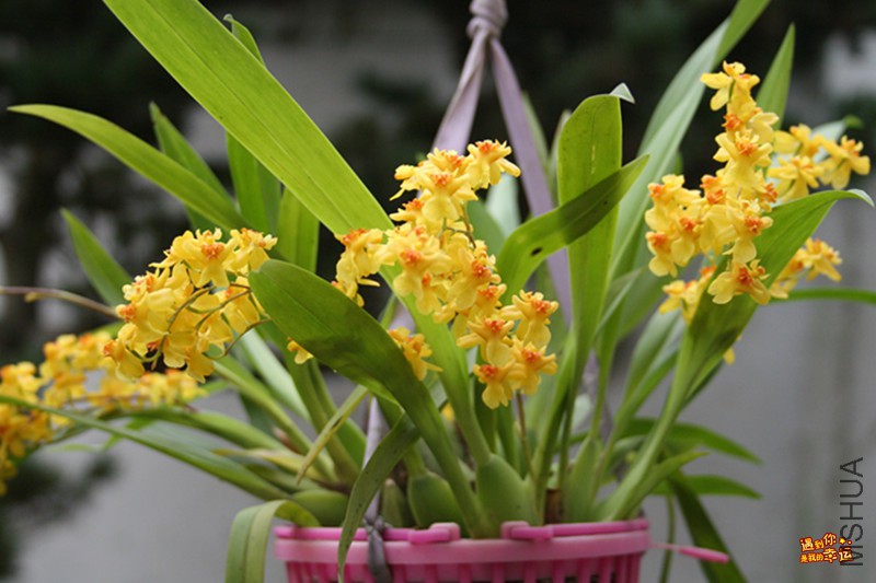 ��Ƭ 051_����.jpg