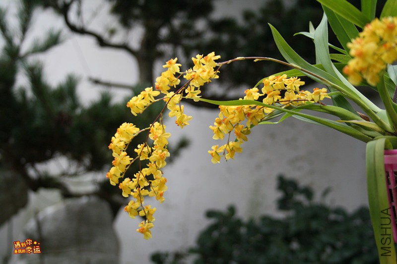 ��Ƭ 047_����.jpg