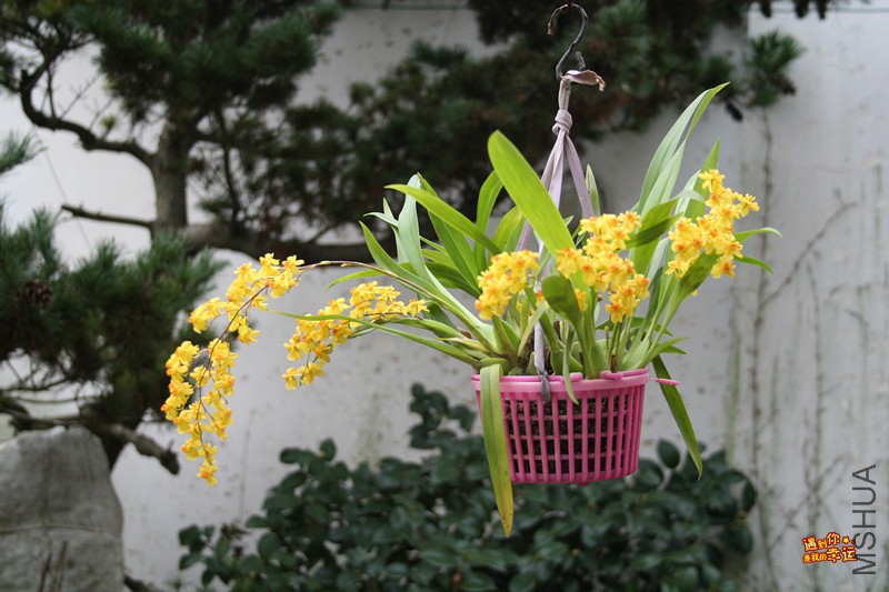 ��Ƭ 045_����.jpg