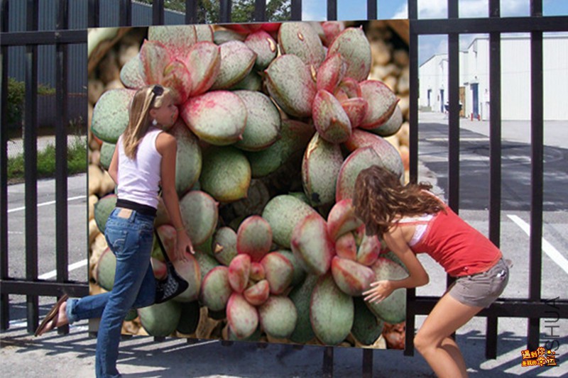 ��Ƭ 005_����.jpg