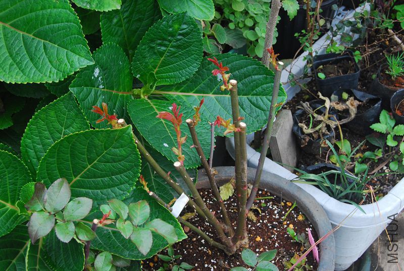 DSC_0205_����.jpg