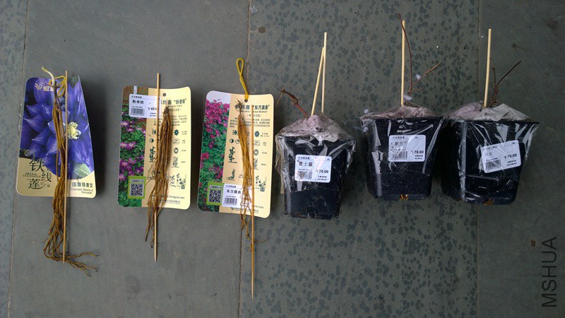 WP_20160131_12_47_06_Pro 2016-01-31.jpg