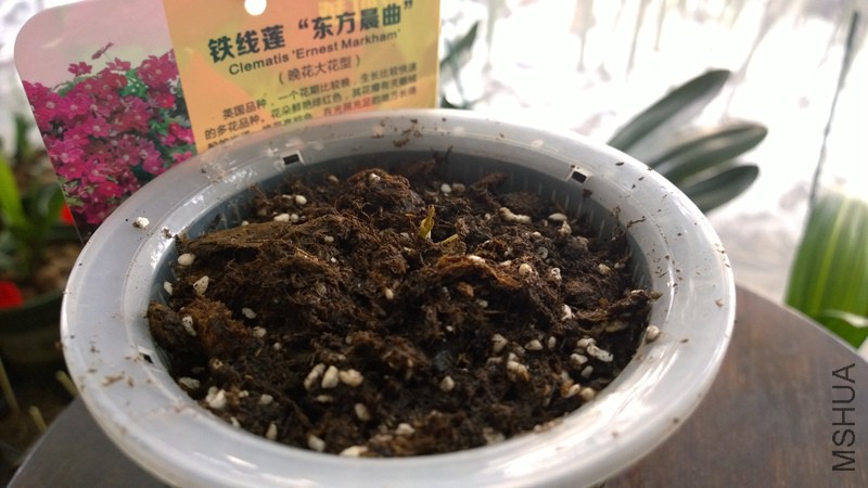 WP_20160202_10_57_46_Pro 2016-02-02-��������.jpg