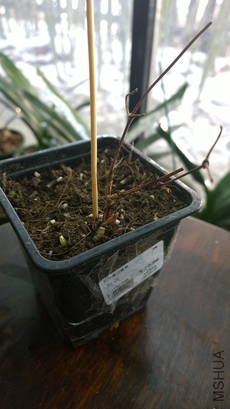 WP_20160202_10_59_24_Pro 2016-02-02-����.jpg