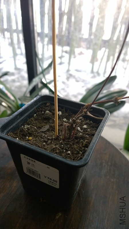 WP_20160202_11_00_33_Pro 2016-02-02-����.jpg