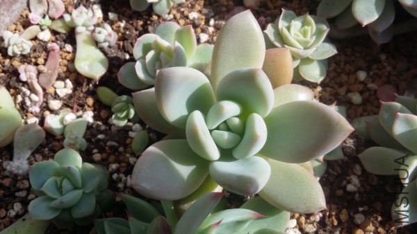 20160202_115127_600x338.jpg